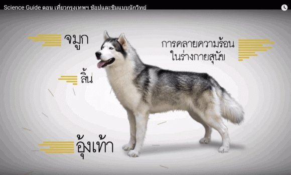 12-28-2015 11-38-55 AM