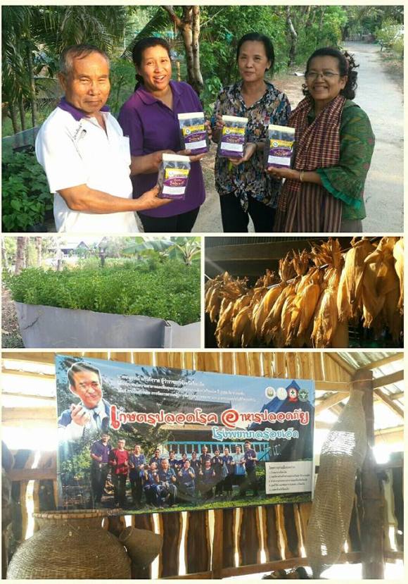 13015251_10100531113553205_8767658359329352533_n